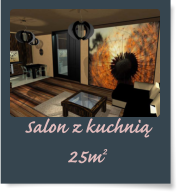 Salon z kuchni� 25m2