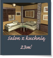 Salon z kuchni� 23m2