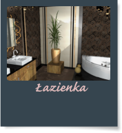 �azienka