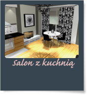 Salon z kuchni�