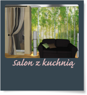 Salon z kuchni�